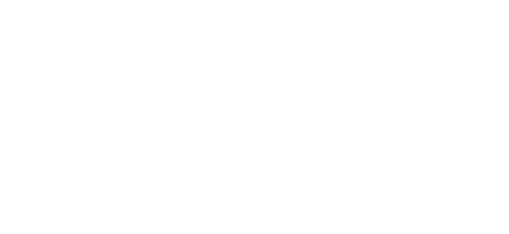 Partner 1
